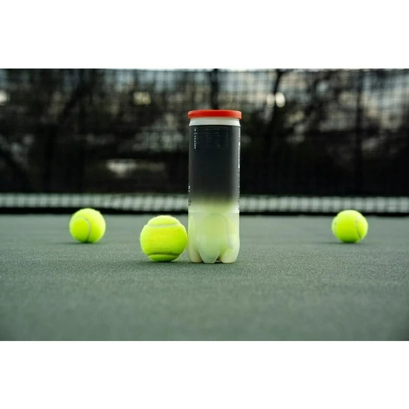 Championship Tennis Balls — 2 Cans